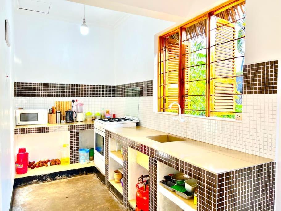 Lui Ushongo Beach House Pangani Ngoại thất bức ảnh