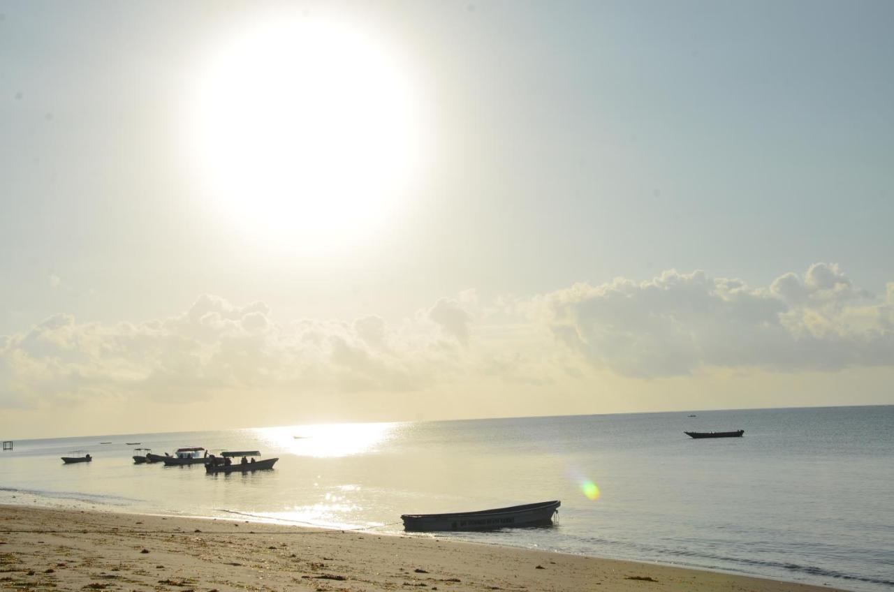 Lui Ushongo Beach House Pangani Ngoại thất bức ảnh