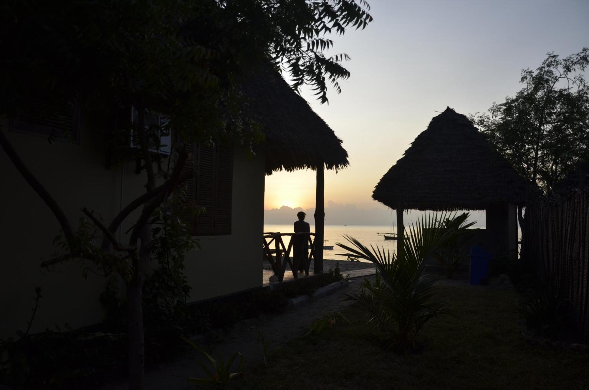Lui Ushongo Beach House Pangani Ngoại thất bức ảnh