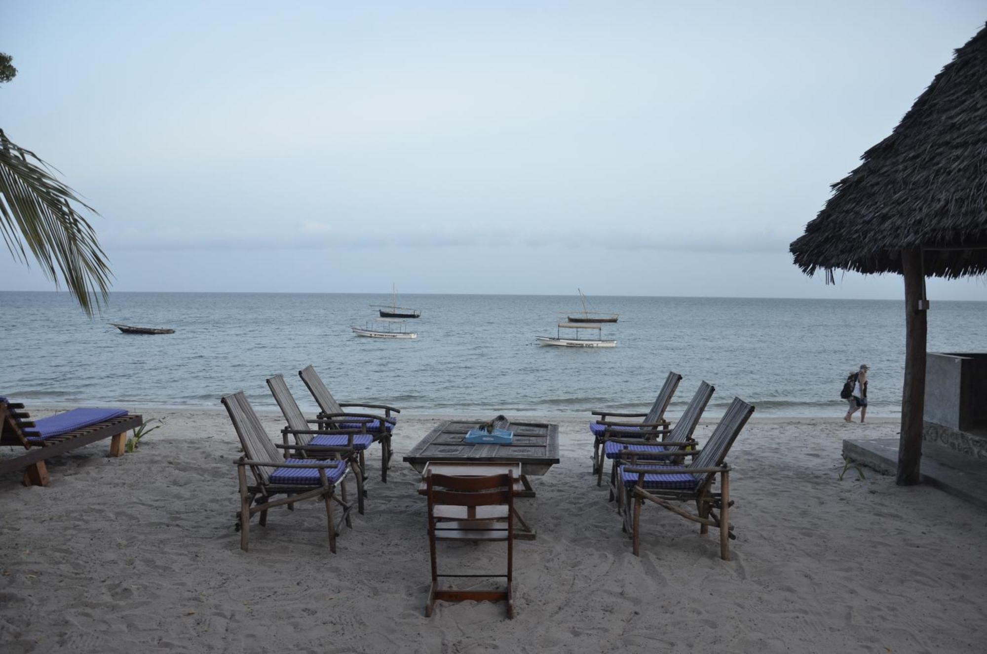 Lui Ushongo Beach House Pangani Ngoại thất bức ảnh