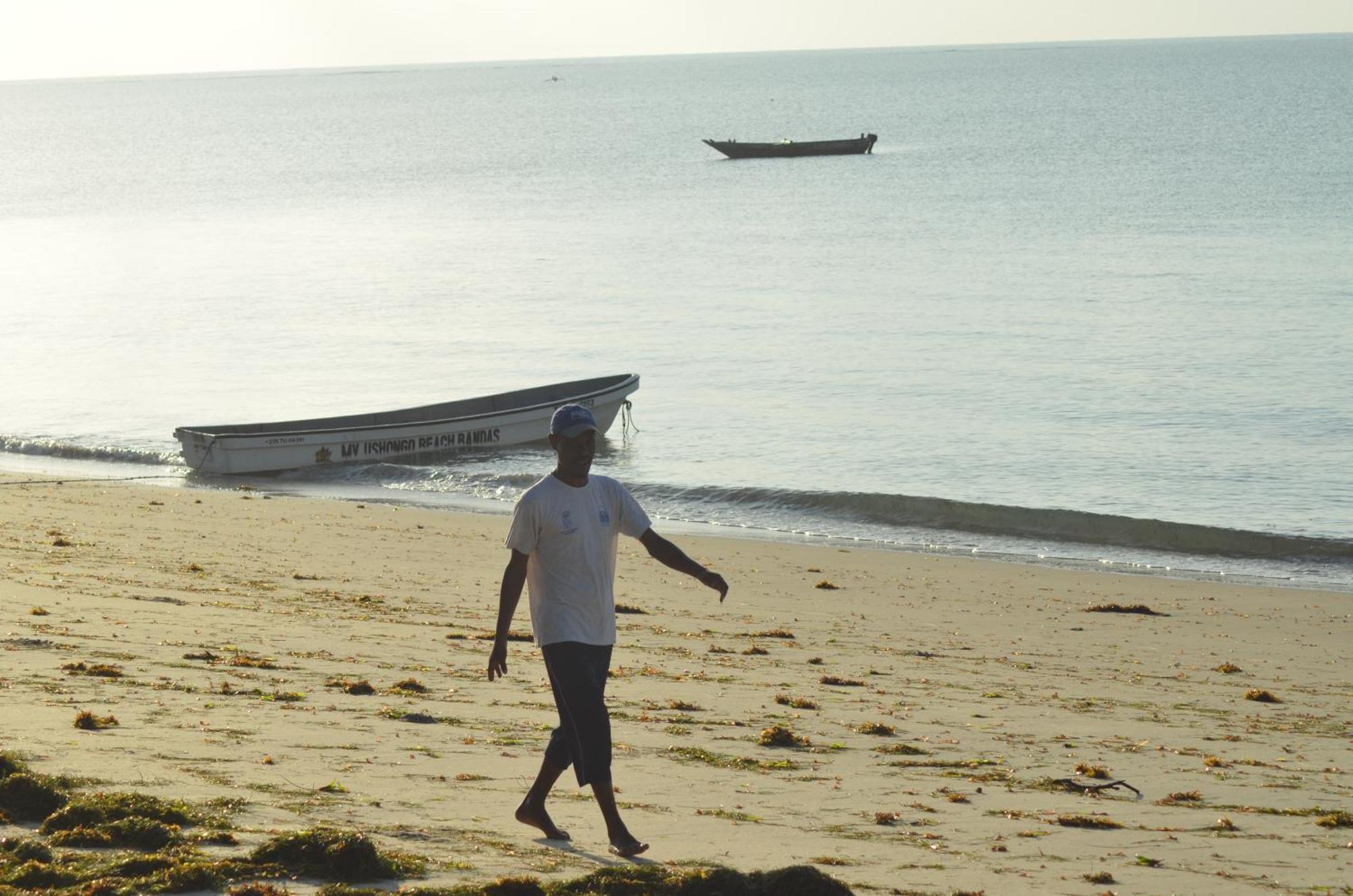 Lui Ushongo Beach House Pangani Ngoại thất bức ảnh